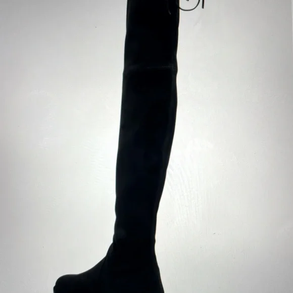 Stuart Weitzmsn “ Lowland” Suede Over-the Knee Boots